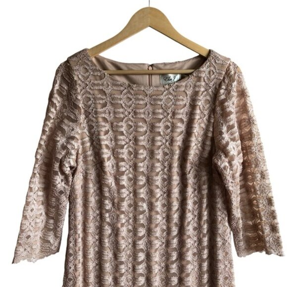 Eliza J Lace Dress Size 16 Champange - Picture 3 of 12